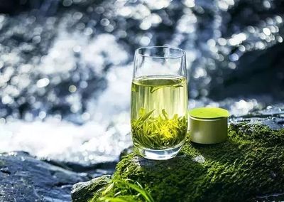 湖南農大專家在茶葉中發現新型成分，助力預防肌肉萎縮，未來或可開發為辦公健康產品